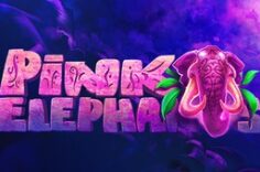 Играть в Pink Elephants