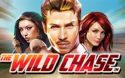 Играть в 🚔 The Wild Chase в Pin Up — Погоня за выигрышами как в мультфильме!